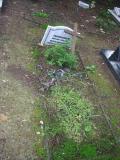 image of grave number 595692